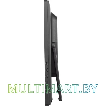 Монитор Iiyama ProLite T2455MSC-B1 картинка 7